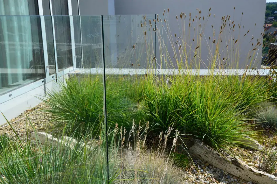 Výsadba na balkoně