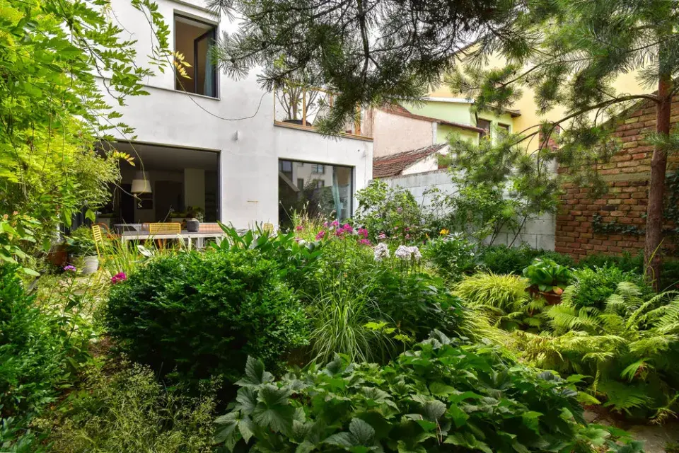 Zelení zarostlý dvorek