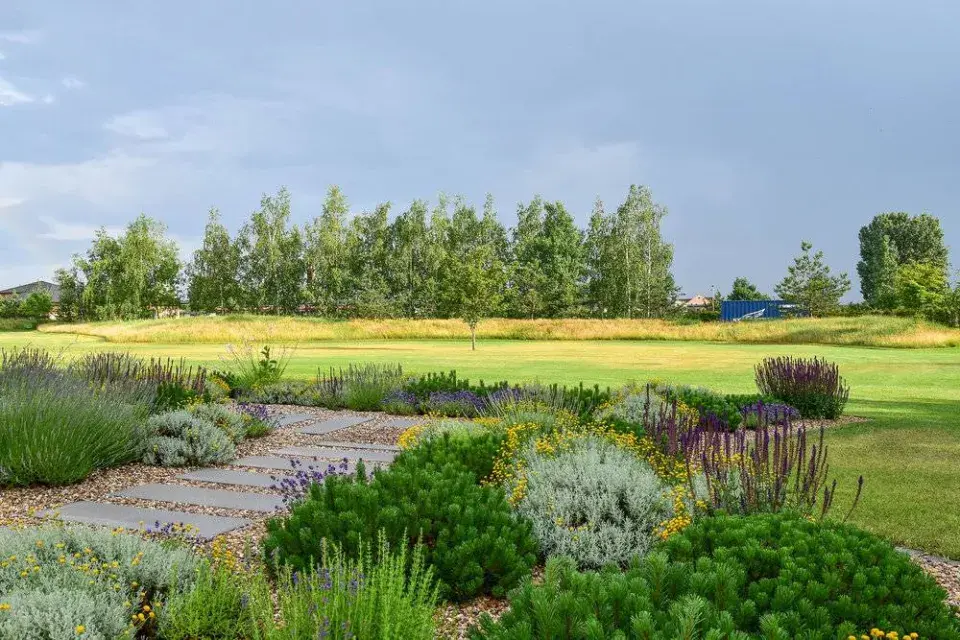 Šlapáky ve výsadbě
