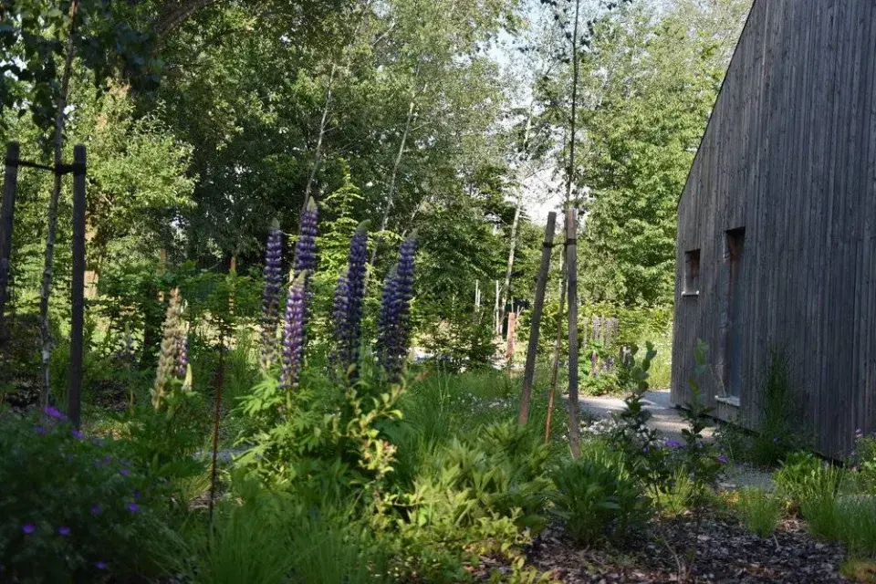 Polodivoká část zahrady