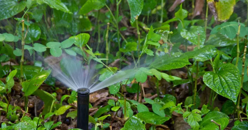 Tryska závlahového systému