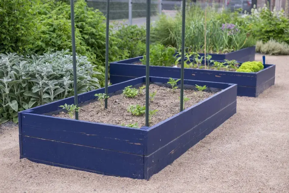 Vyvýšené záhony