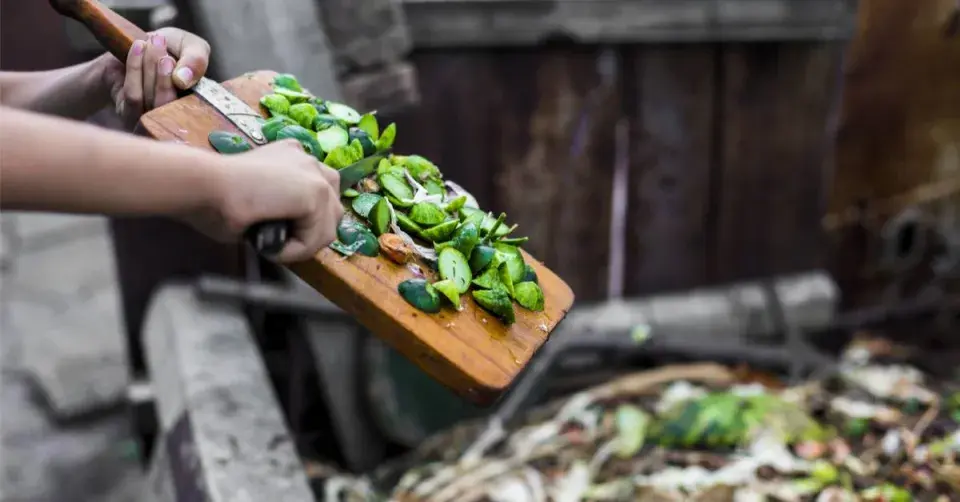 Kuchyňský odpad v kompostu