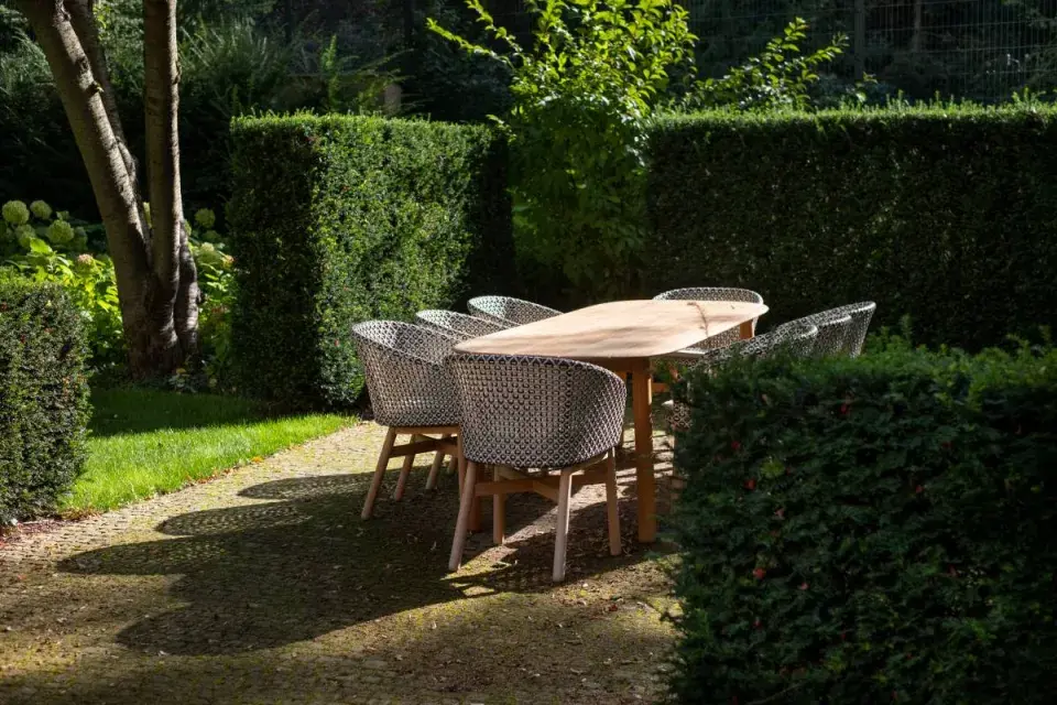 Stolování v zahradě