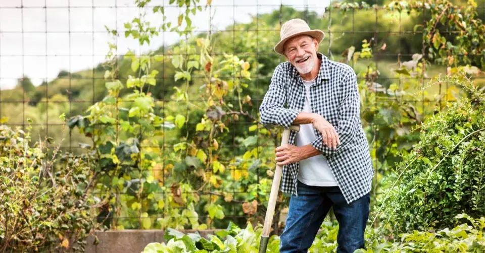 Starší muž v užitkové zahradě