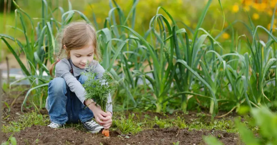 Holčička v zeleninovém záhonu