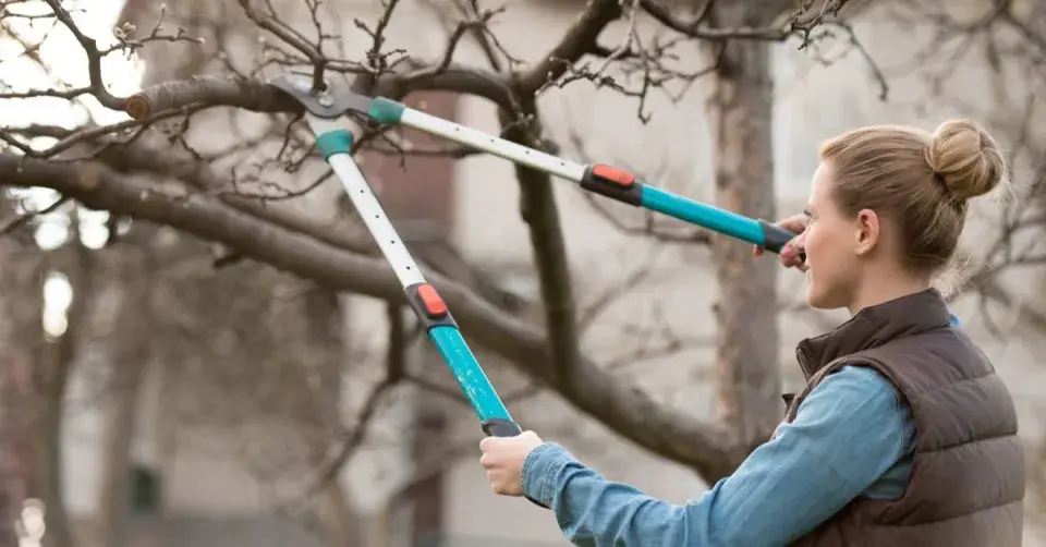 Mladá žena stříhající strom