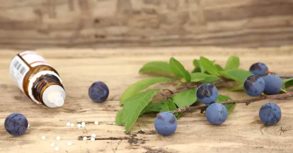 Plody trnky a homeopatikum