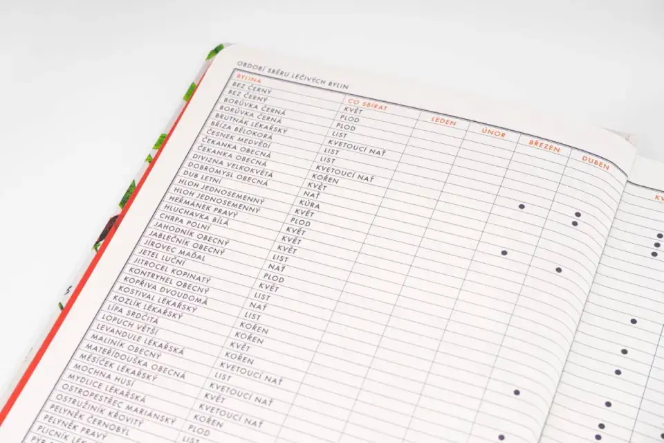 Zábavný kalendář