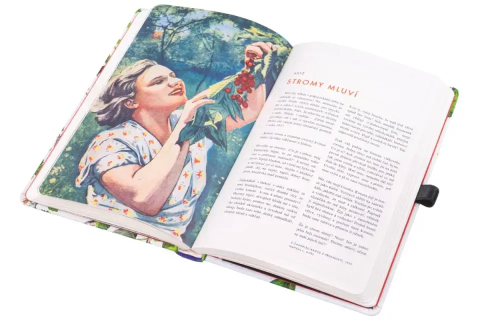 Zábavný kalendář