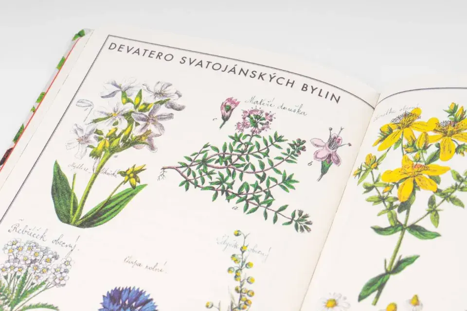 Zábavný kalendář