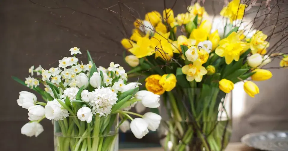 Jarní cibuloviny ve váze