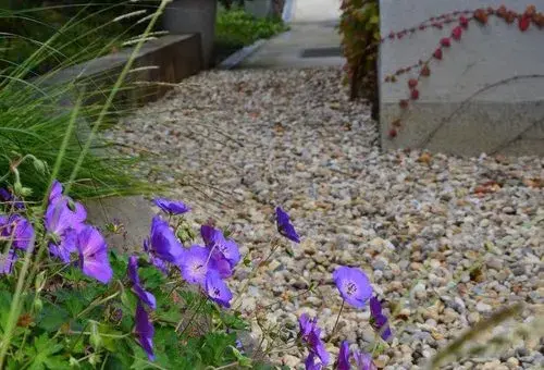 Oblázková cestička