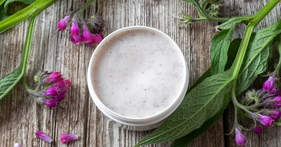 Kostival lékařský