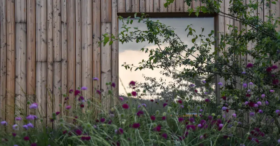 Výsadba před oknem