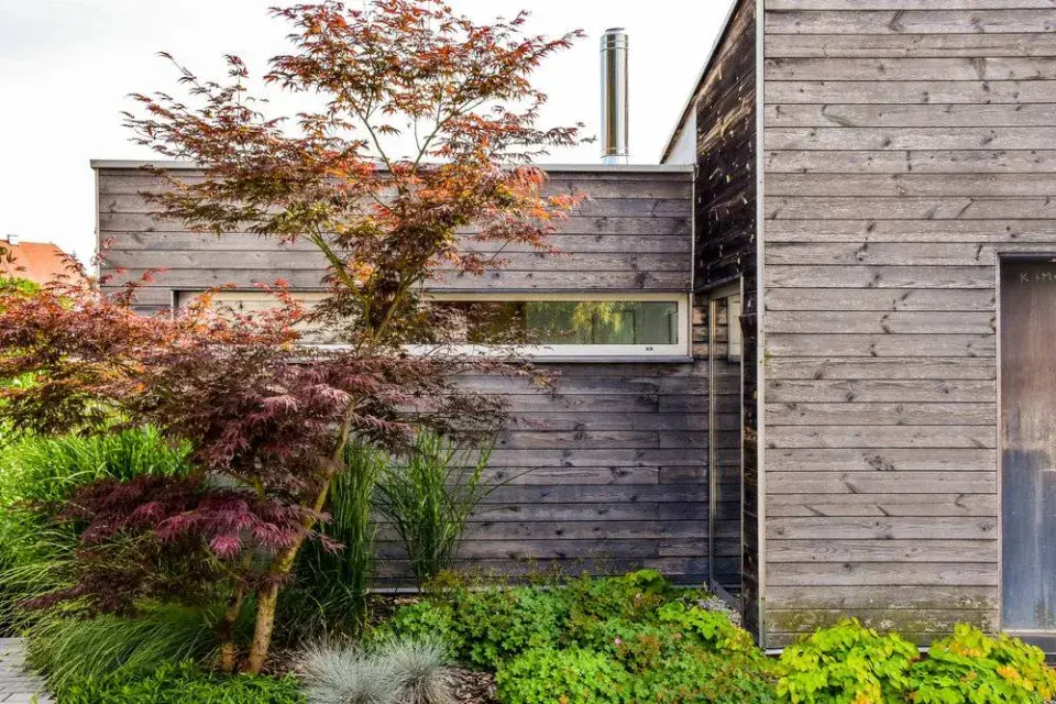 Vstupní část zahrady