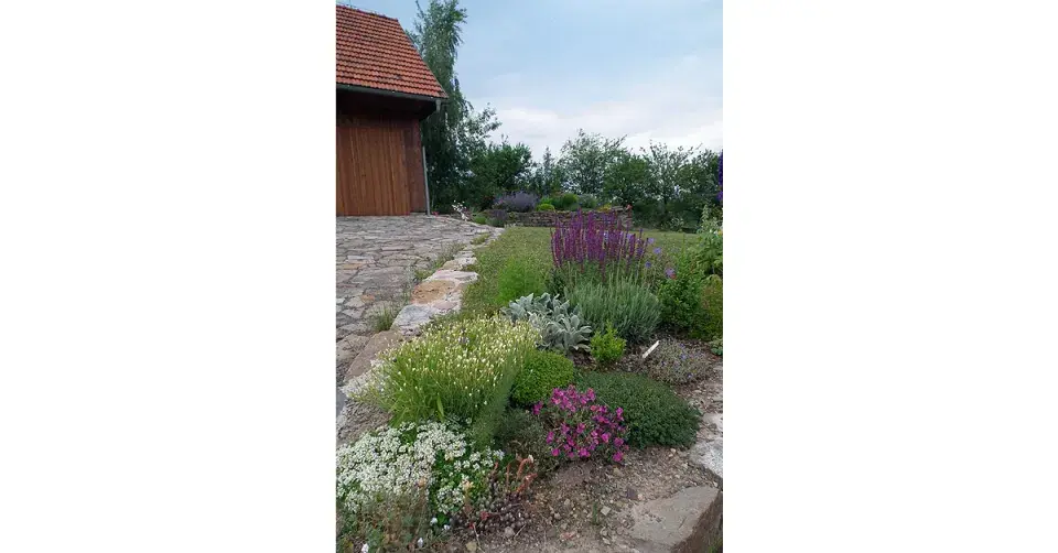 Slunomilná výsadba