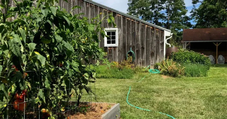 Zalévání dešťovou vodou