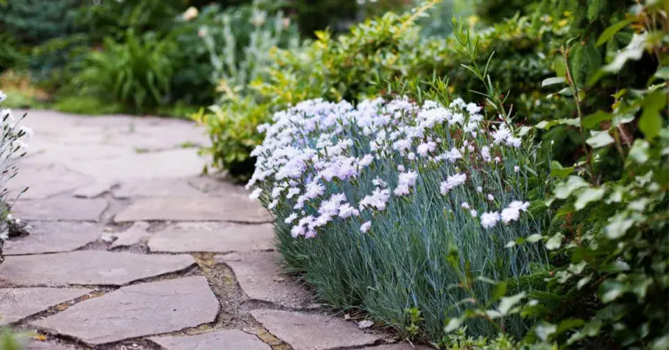 Zahradní cesta zpevněná kameny