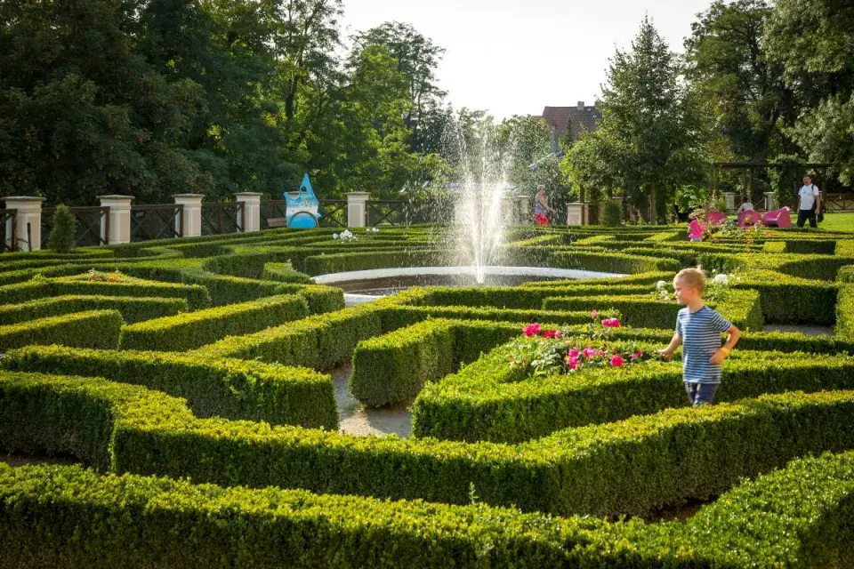 Buxusové bludiště