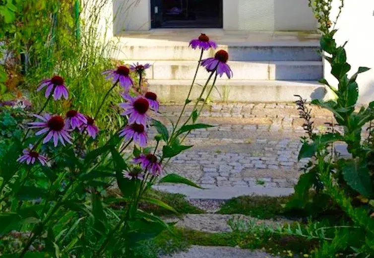 Šlapáky v trávníku