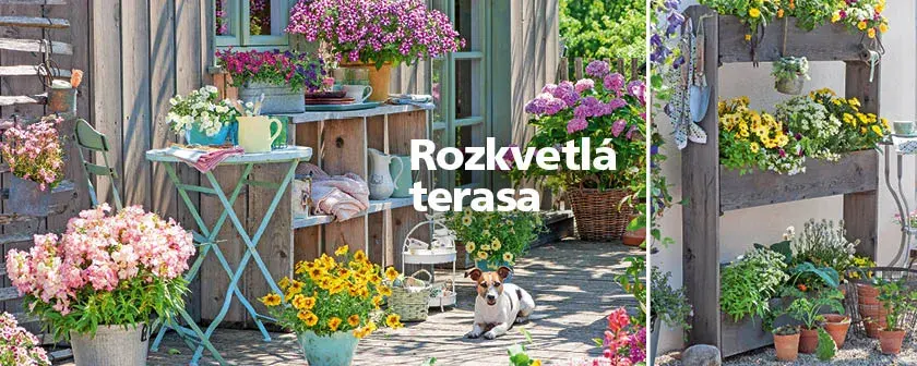 Květnové číslo časopisu