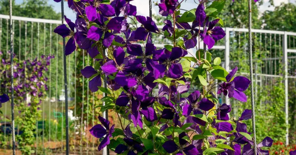 Plamének na kovové konstrukci