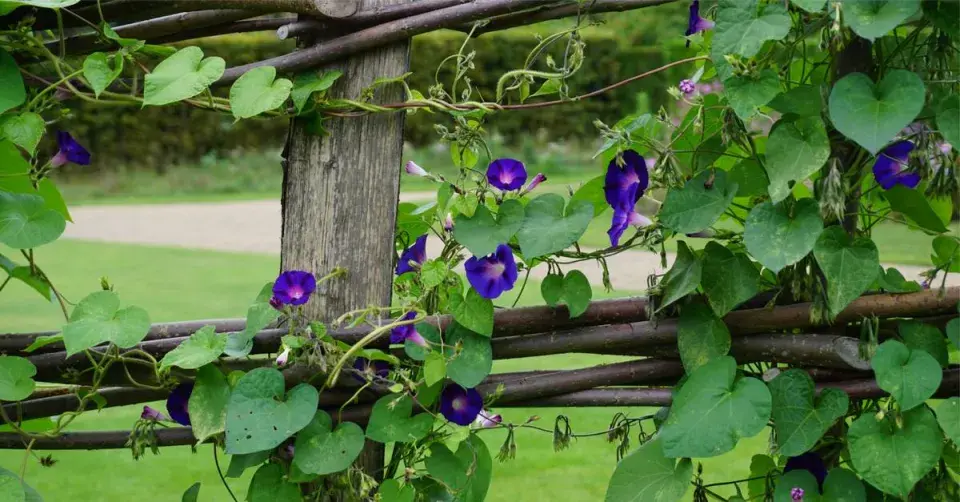 Zástěna z trámů a prutů