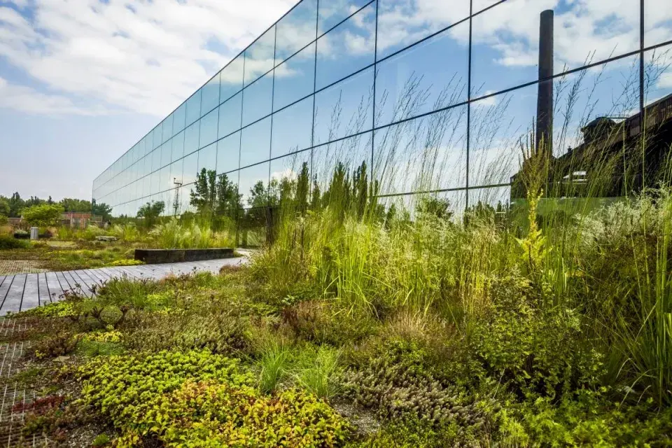 Střešní zahrada ve Vítkovicích