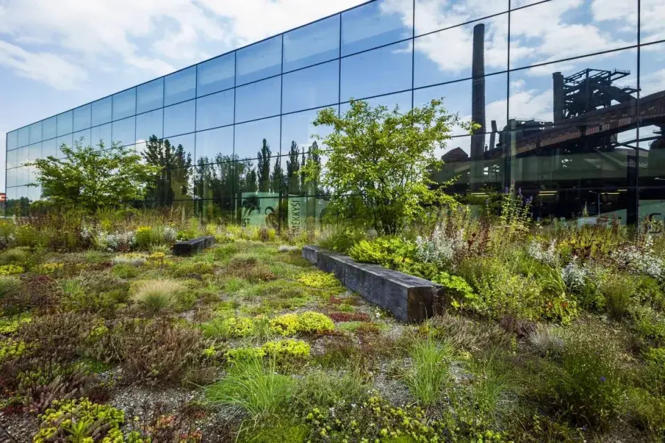 Střešní zahrada ve Vítkovicích