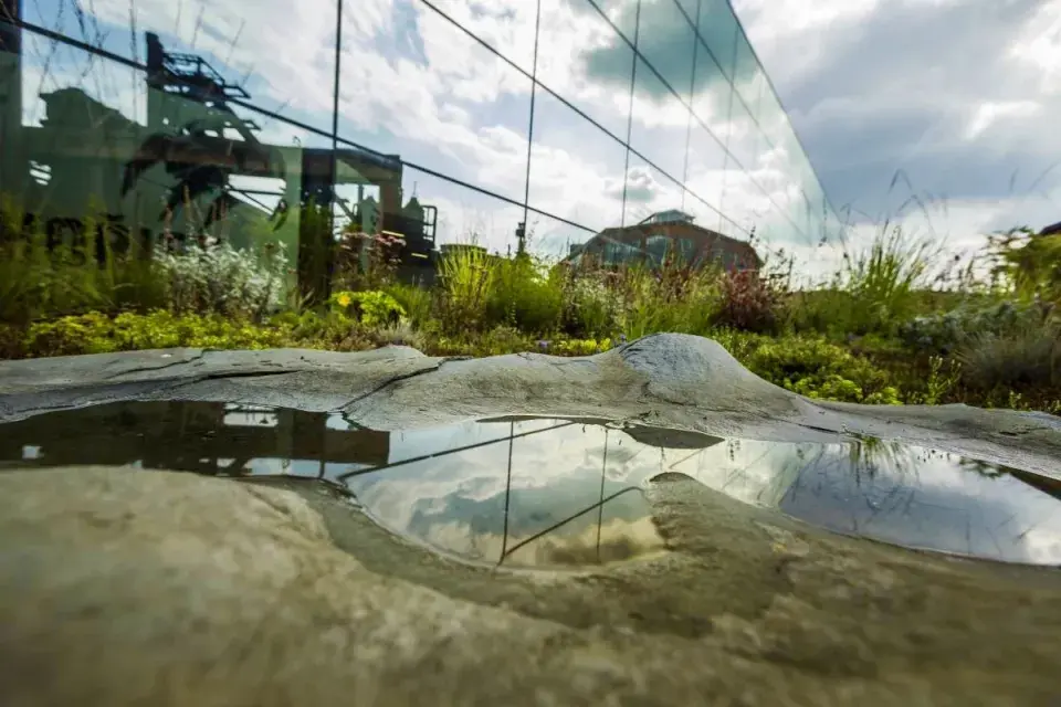 Střešní zahrada ve Vítkovicích