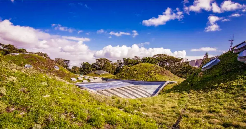 Extenzivní střešní výsadba