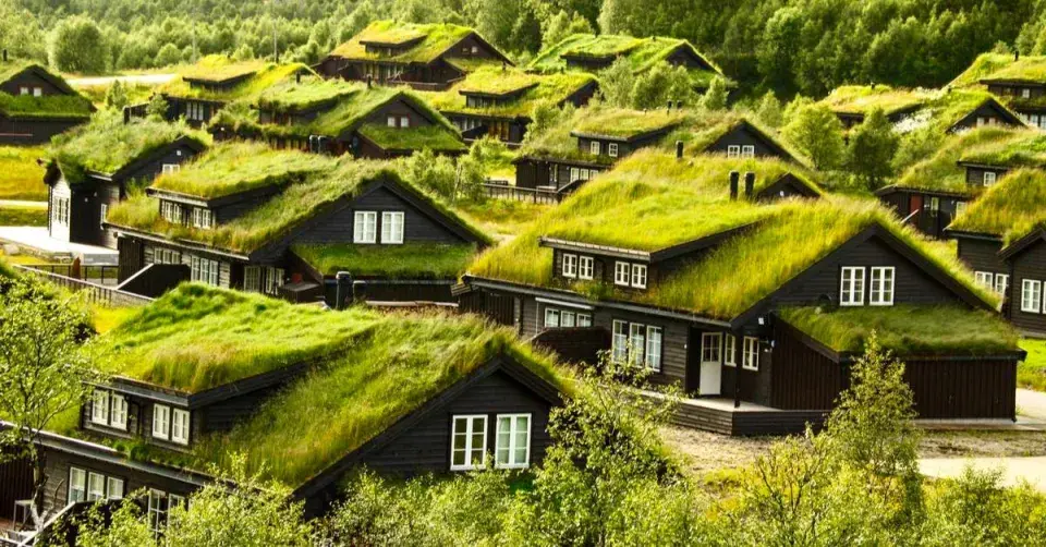 Zelené střechy v Norsku