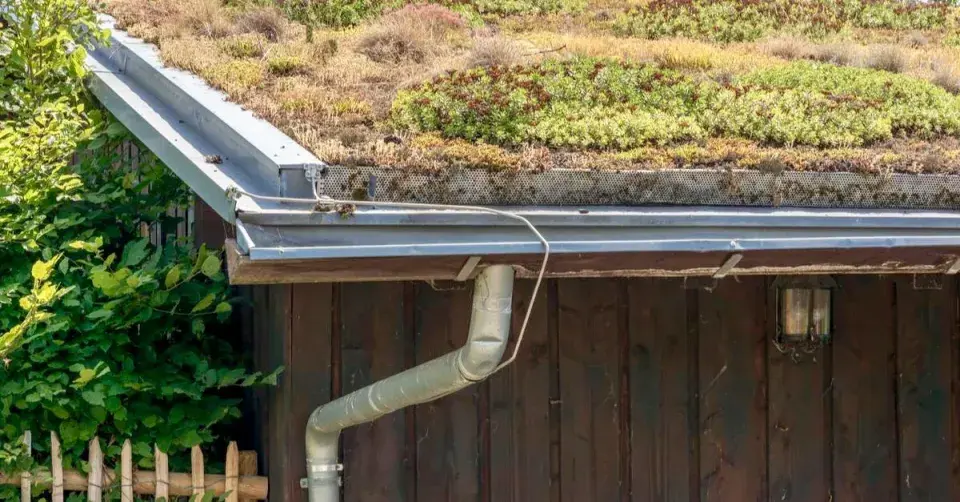 Extenzivní zelená střecha