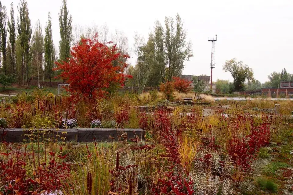 Střešní zahrada ve Vítkovicích