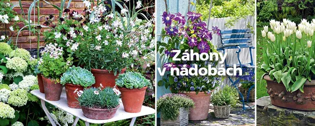 Speciál Květinová zahrada