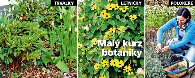 Speciál Květinová zahrada