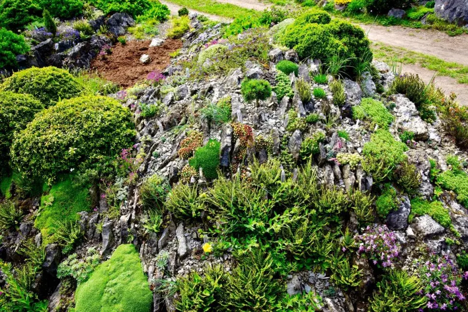 Uměle vytvořená skalka