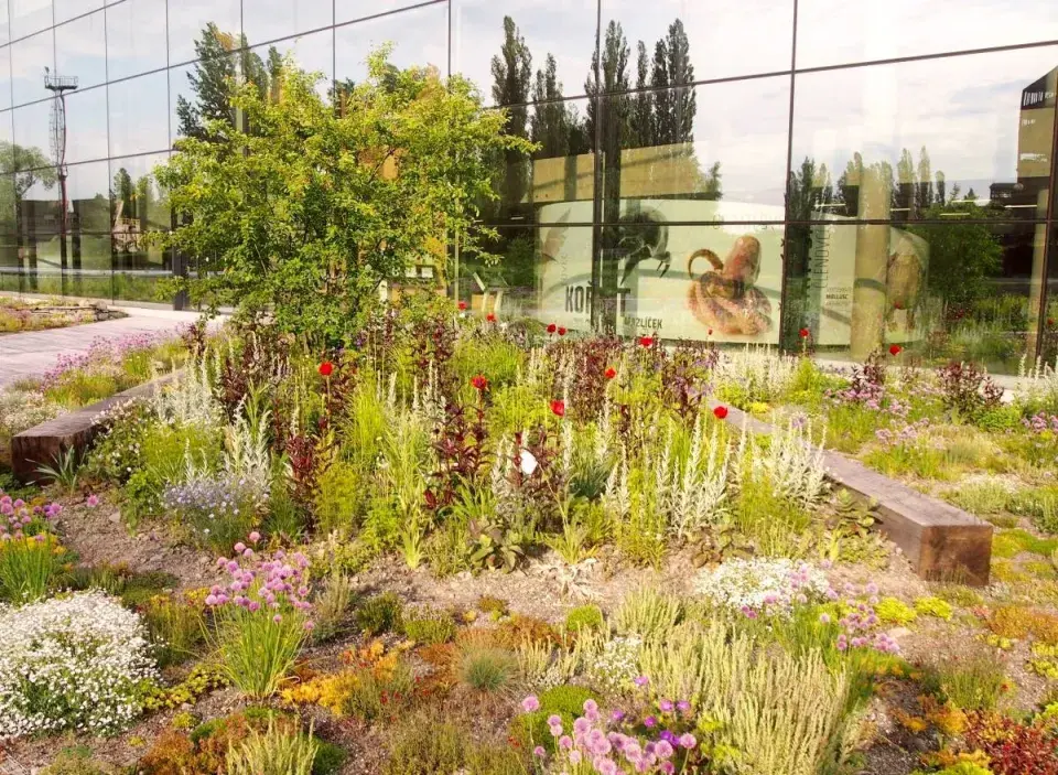 Střešní zahrada ve Vítkovicích