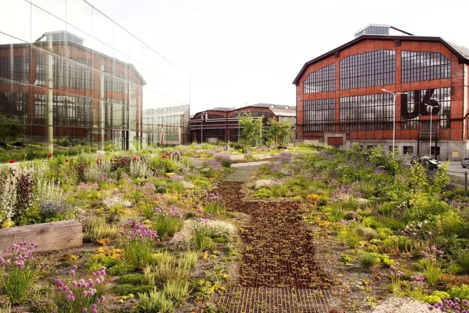 Střešní zahrada ve Vítkovicích