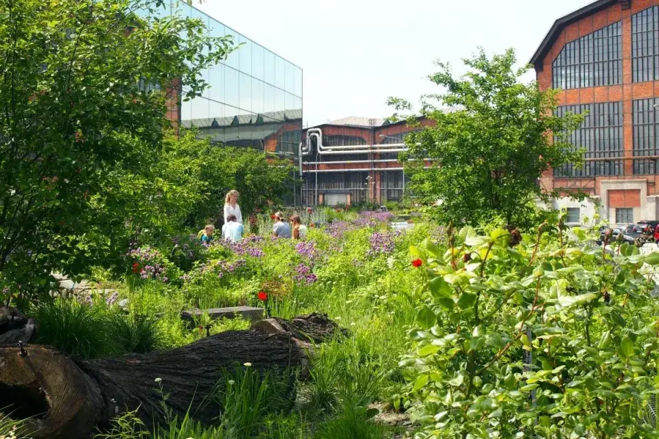 Střešní zahrada ve Vítkovicích