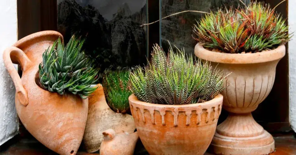 Květináče z terakoty