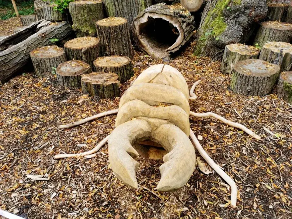 Broukoviště v Lysé nad Labem