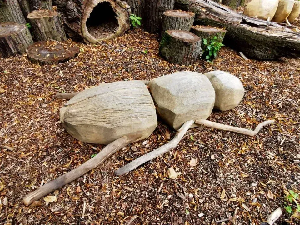 Broukoviště v Lysé nad Labem