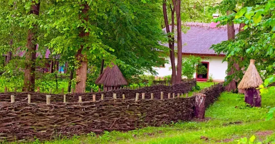 Plot vyplétaný z proutí