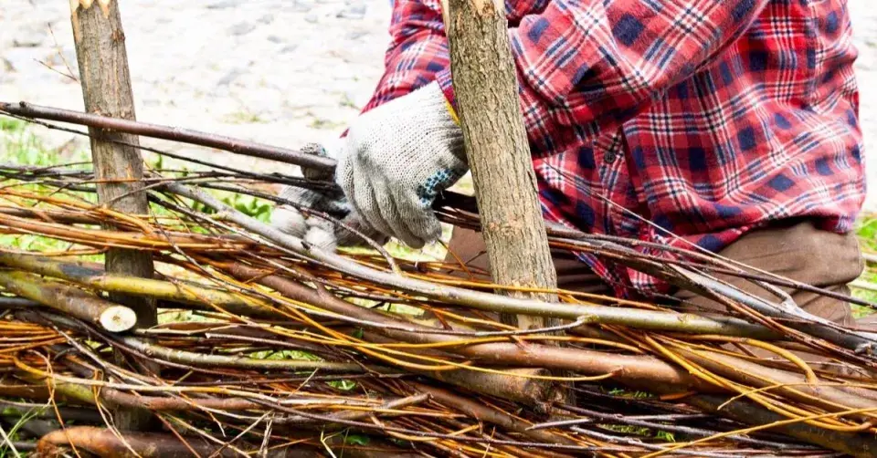 Vyplétání plotu proutím