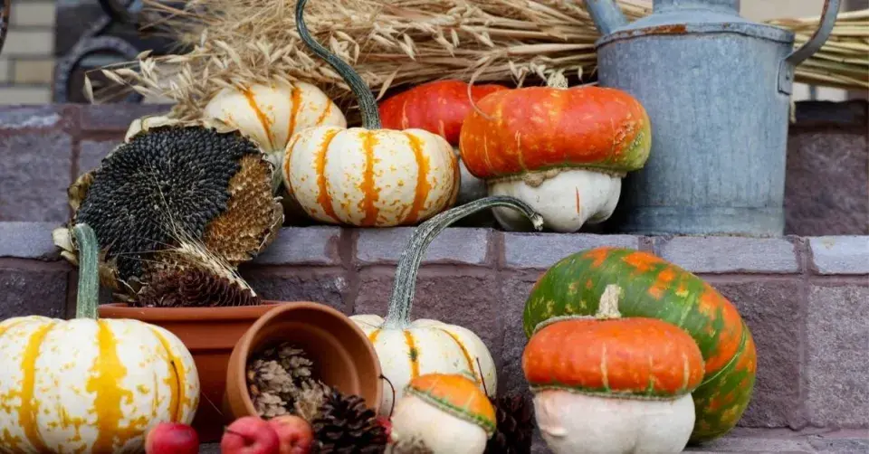 Barevné dýně