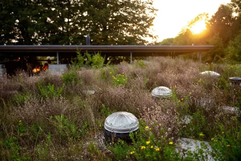 Světlovody v zelené střeše