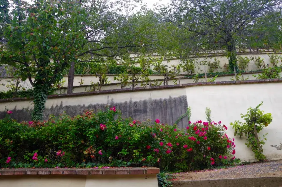 Velká Fürstenberská zahrada - terasy