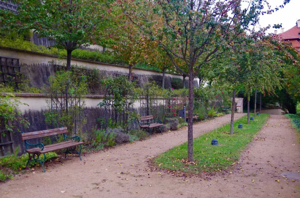 Velká Fürstenberská zahrada - výsadba